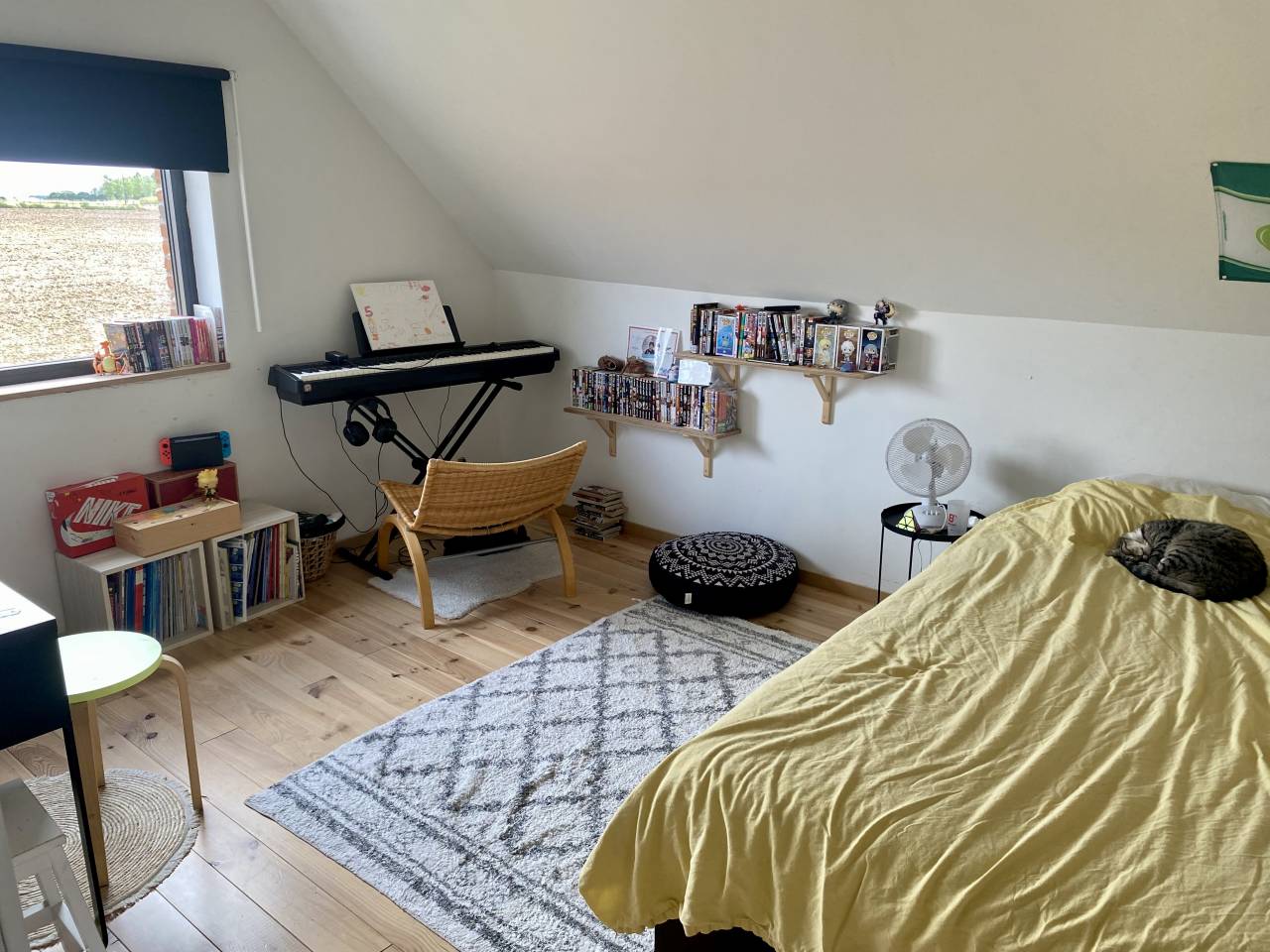 Fermette sur 88 Ares, boxes, paddock et prairie.