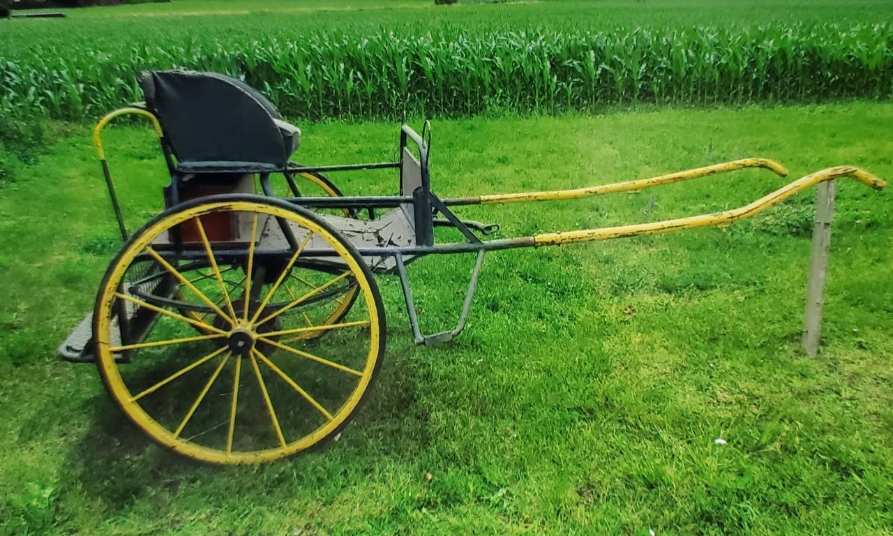 Attelage equestre  lot de 3 anciennes voitures à cheval