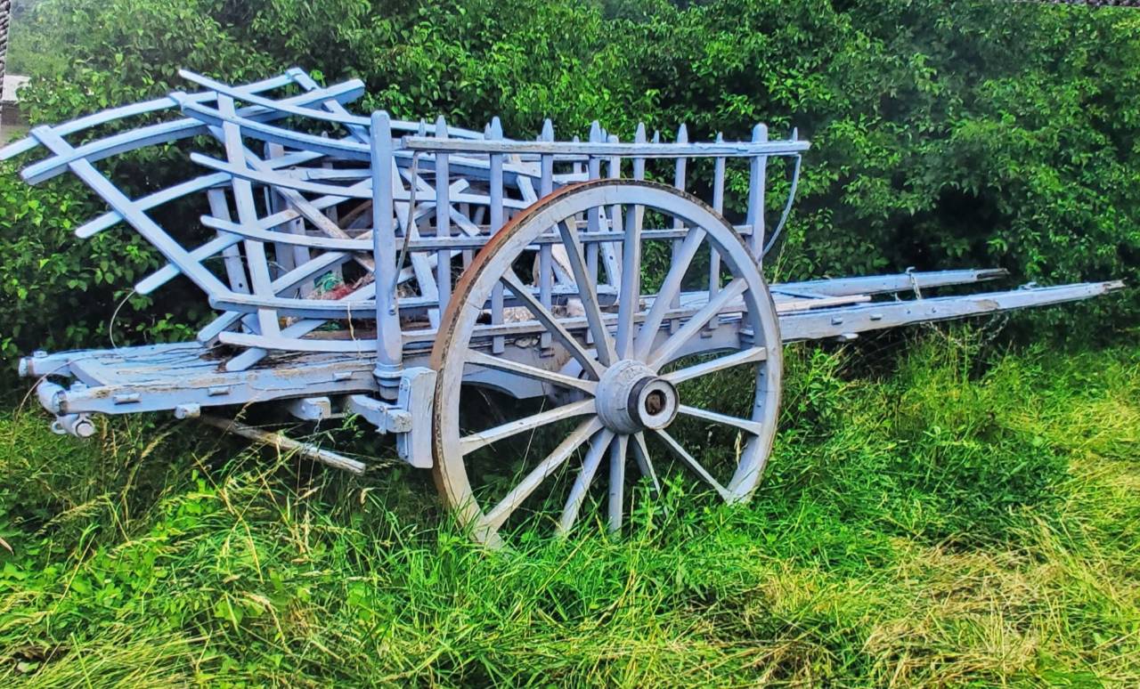 Attelage equestre  lot de 3 anciennes voitures à cheval