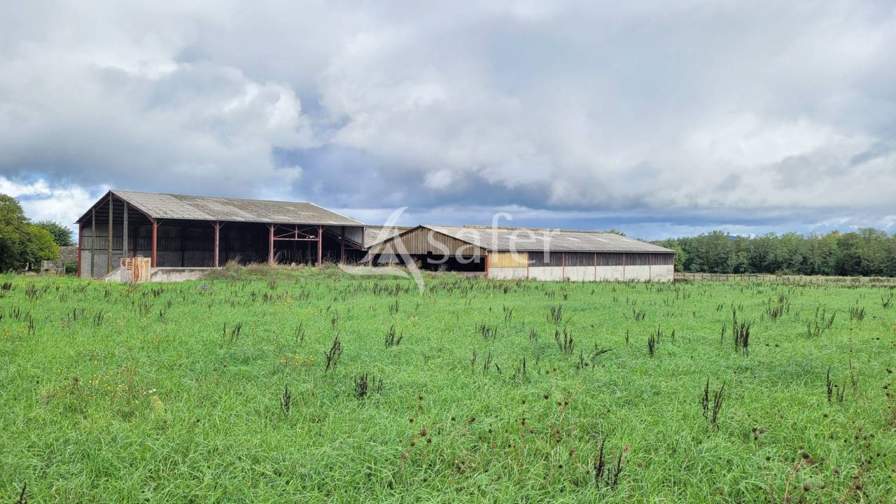 Exploitation agricole 20ha ALBI