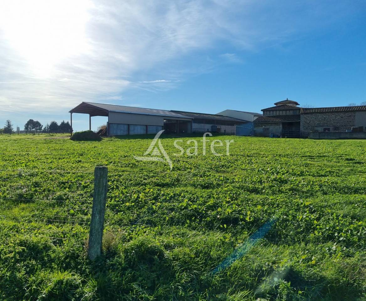 Exploitation agricole 20ha ALBI