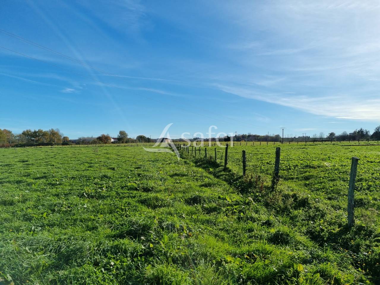 Exploitation agricole 20ha ALBI