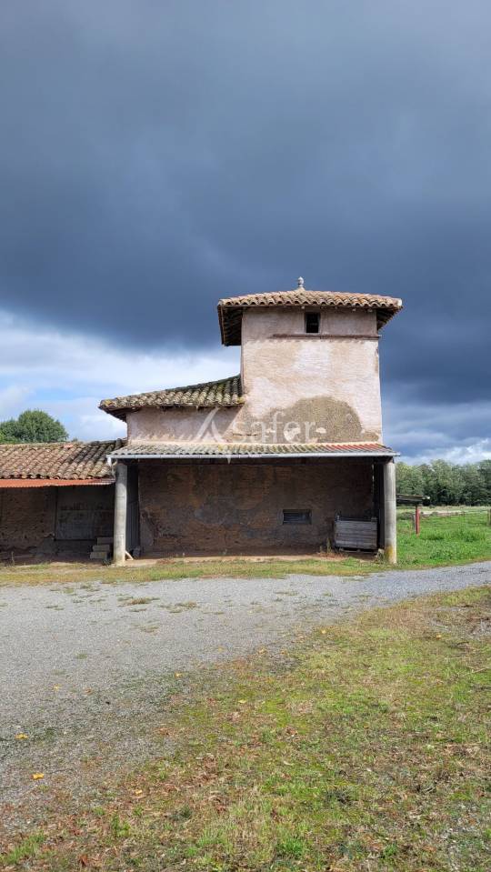 Exploitation agricole 20ha ALBI