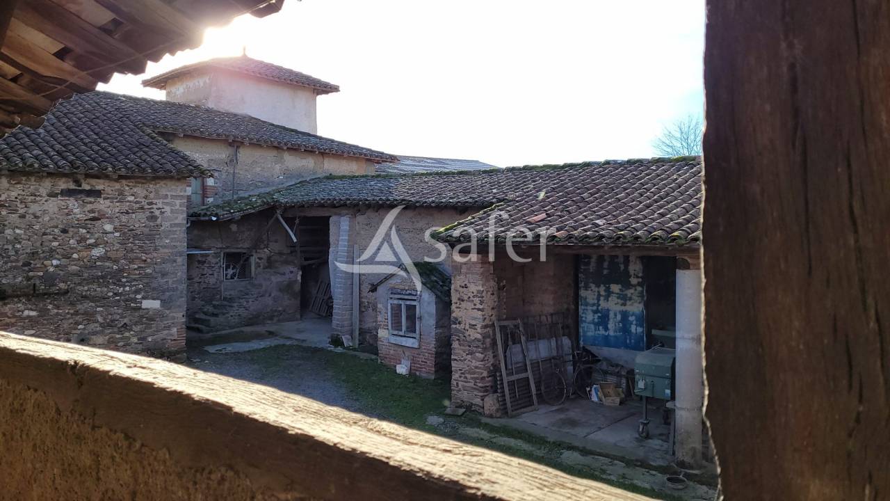 Exploitation agricole 20ha ALBI