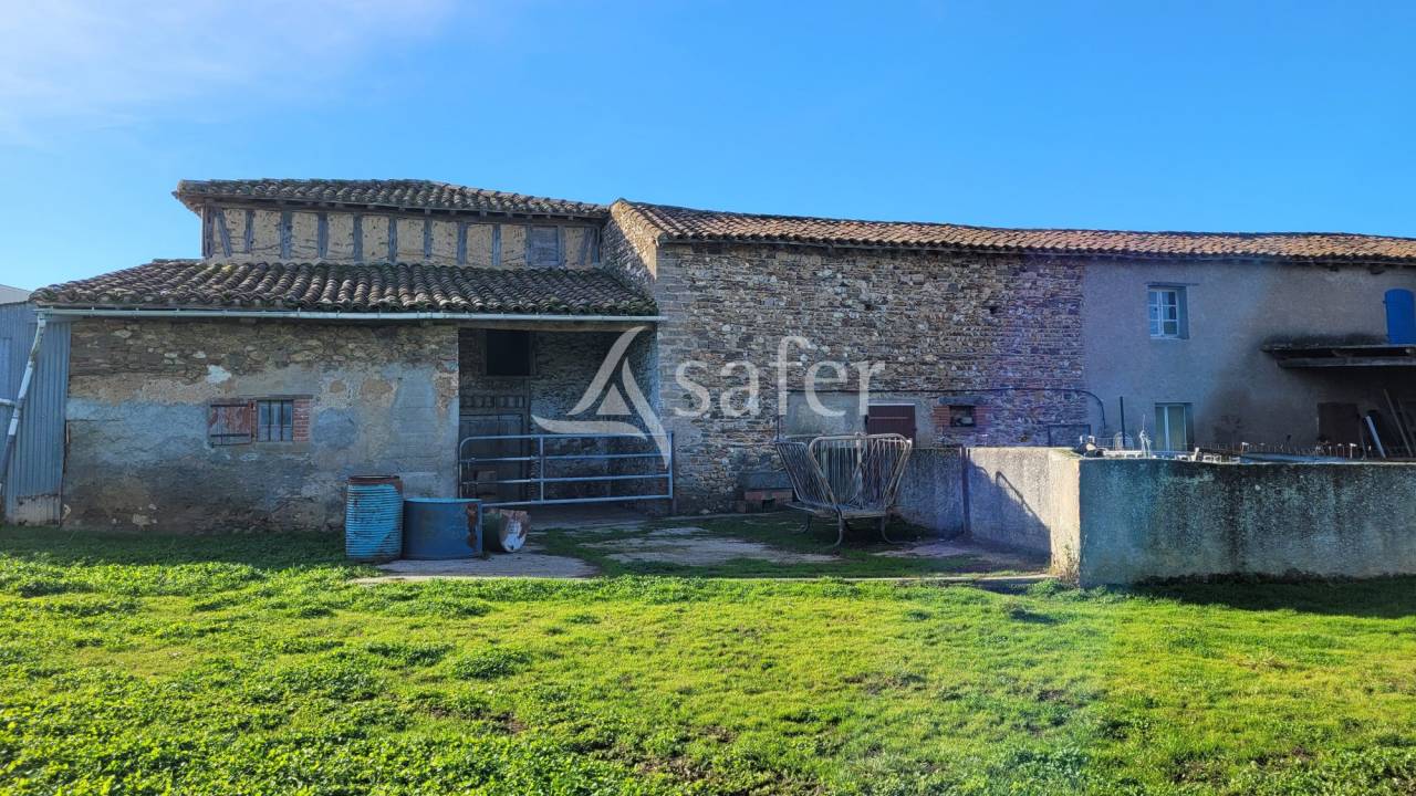 Exploitation agricole 20ha ALBI