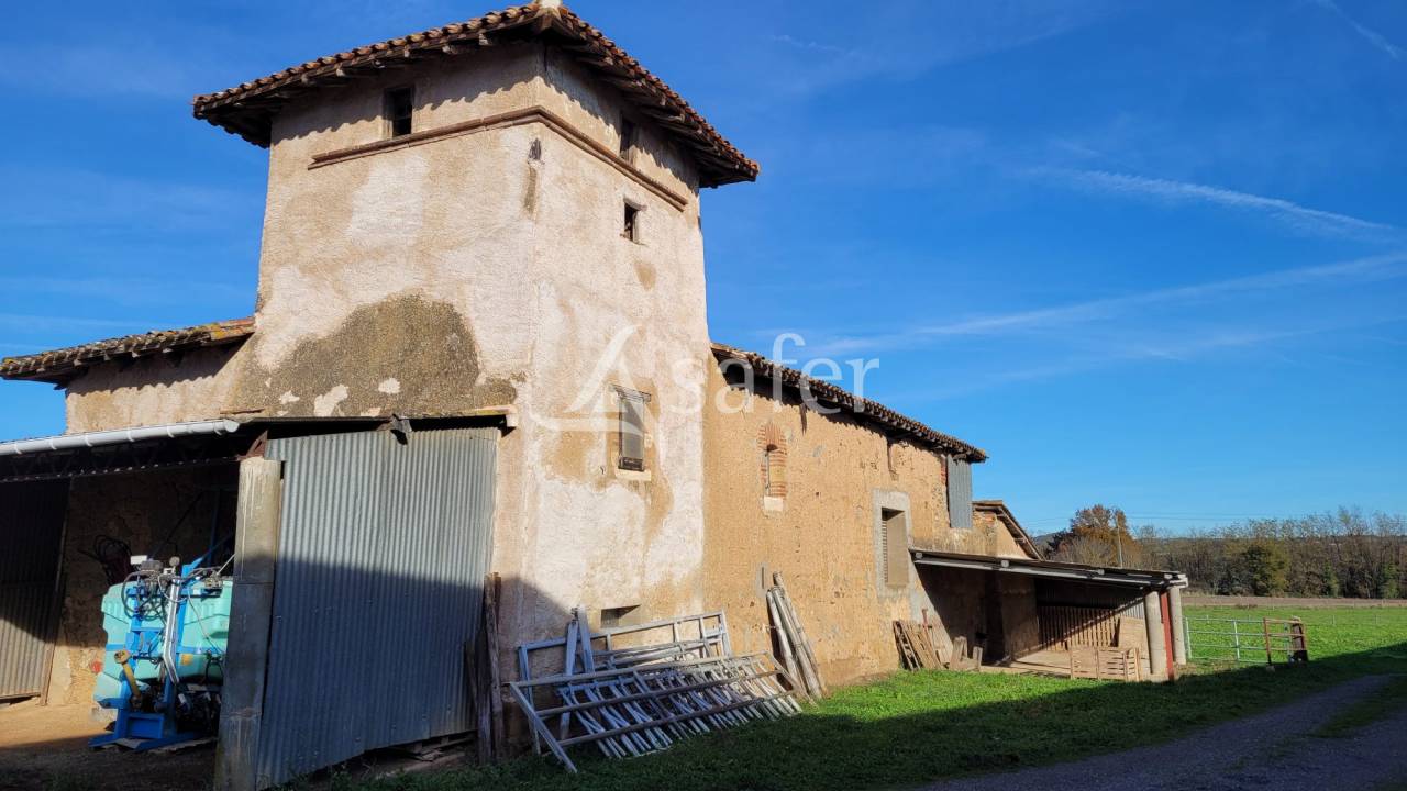 Exploitation agricole 20ha ALBI