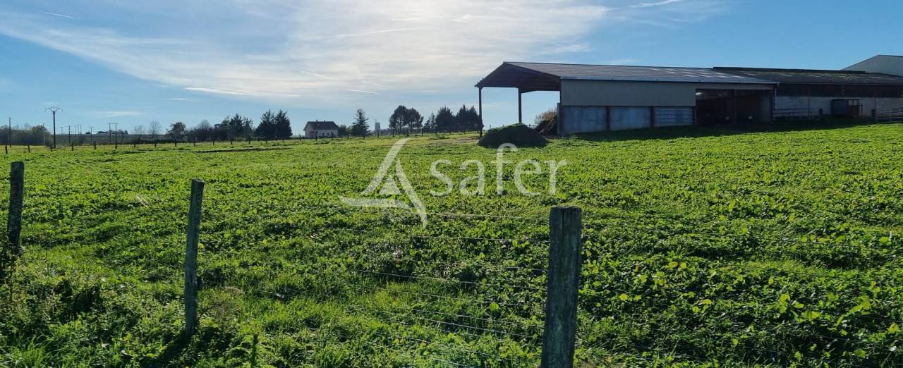 Exploitation agricole 20ha ALBI