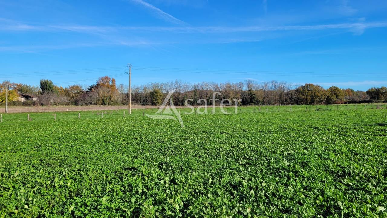Exploitation agricole 20ha ALBI
