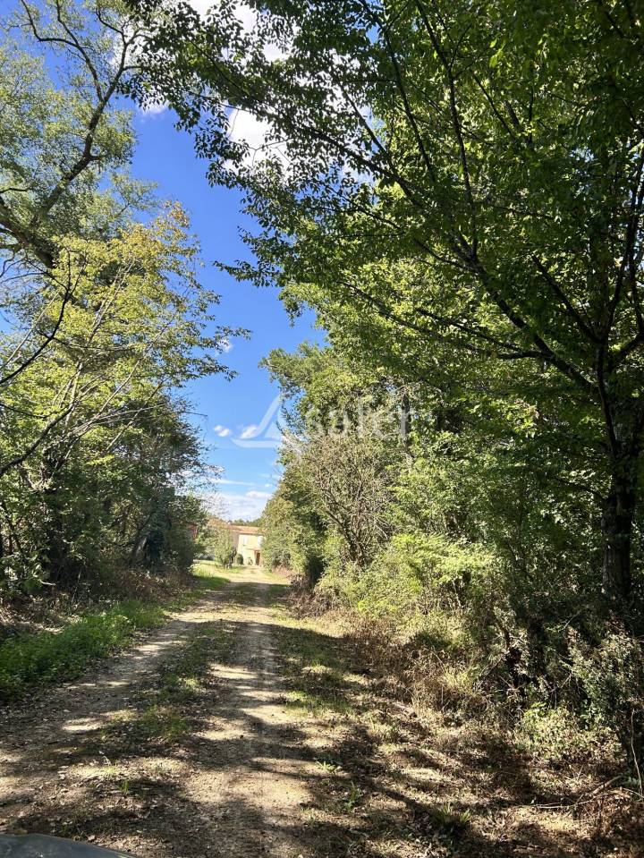 Domaine de caractère sur 170ha aux portes du Gers