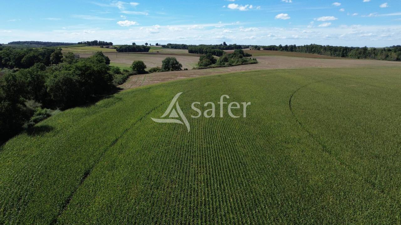 Domaine de caractère sur 170ha aux portes du Gers