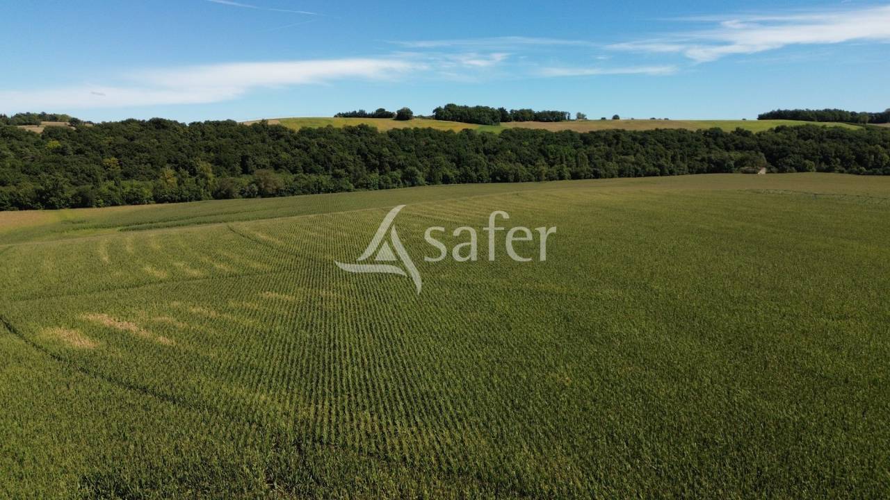 Domaine de caractère sur 170ha aux portes du Gers
