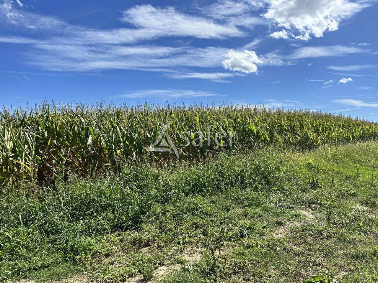 Domaine de caractère sur 170ha aux portes du Gers
