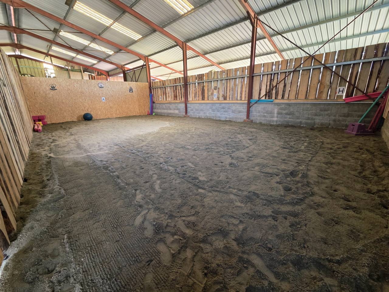 Stabulation libre pour chevaux 