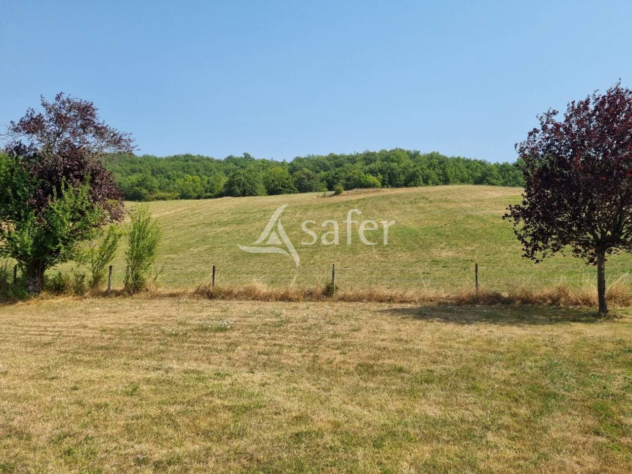 G&icirc;te rural avec d&eacute;pendances agricoles, rond de longe et piscin