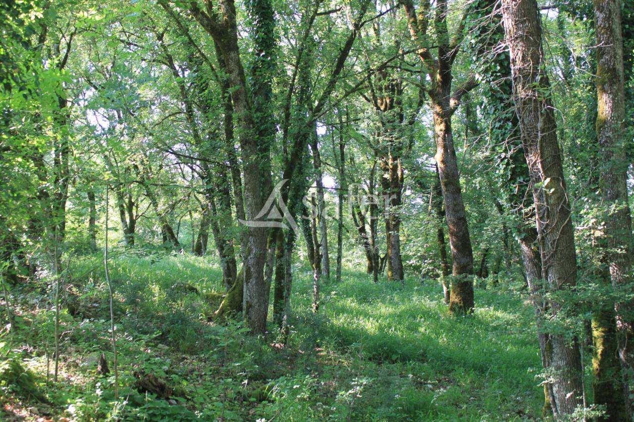 Granges quercynoises sur 13 ha au Coeur du Causse du Quercy Loto