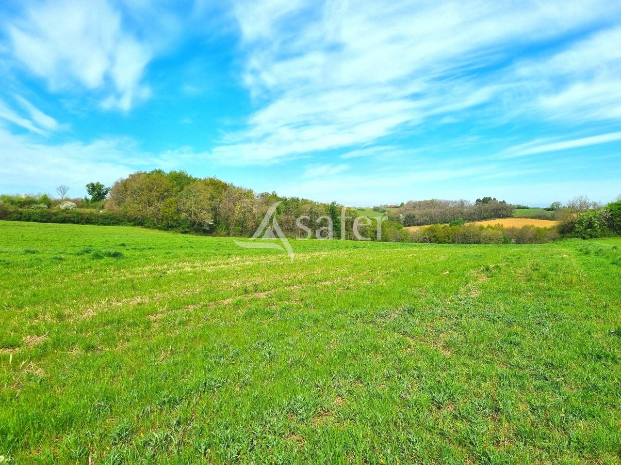 Ancienne ferme 151 m&sup2; habitable avec d&eacute;pendances sur 7 ha sect