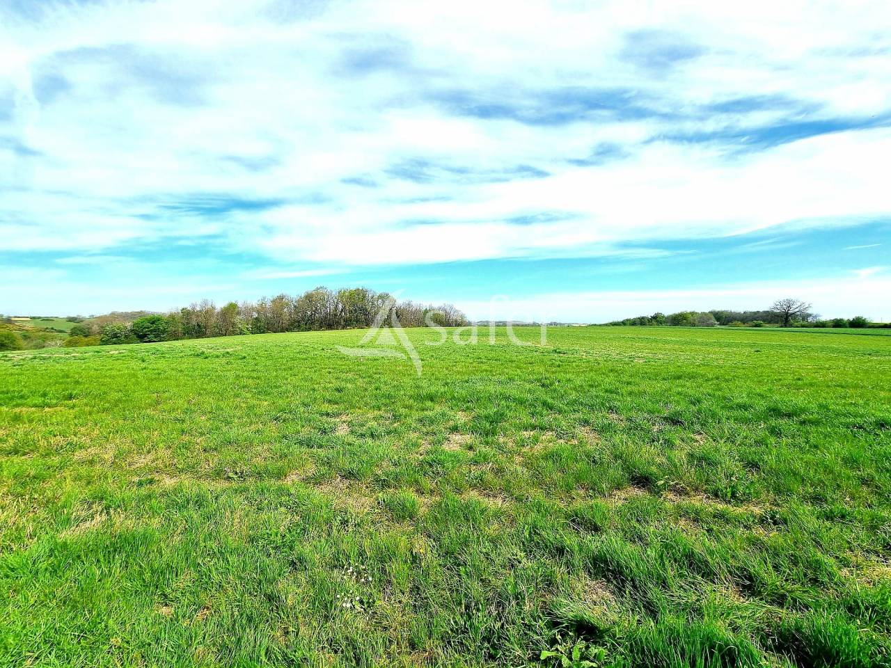 Ancienne ferme 151 m&sup2; habitable avec d&eacute;pendances sur 7 ha sect