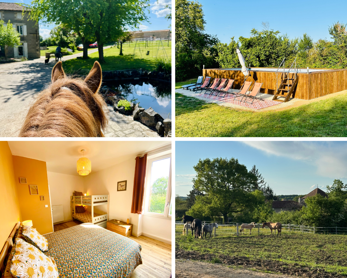 G&icirc;te &Eacute;questre - 6 Chambres - Piscine & Bain Nordique