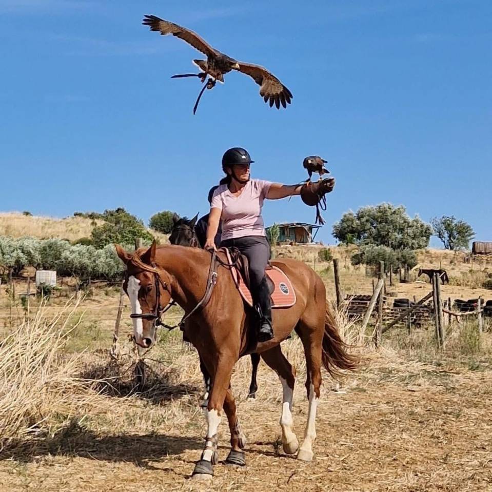 TOP HONGRE SF DE 10 ANS POURCCE 2*, AMA ELITE