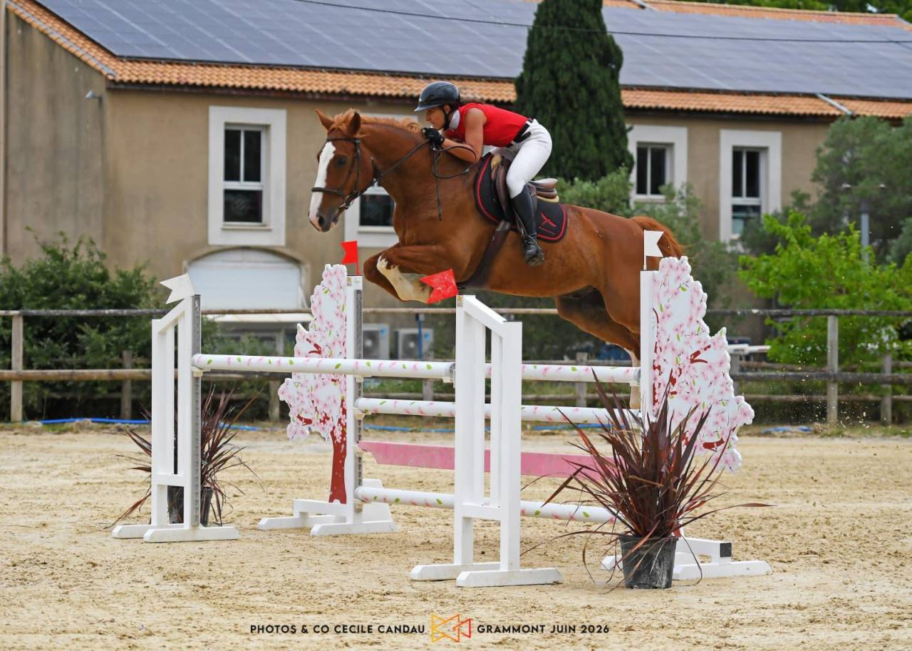 TOP HONGRE SF DE 10 ANS POURCCE 2*, AMA ELITE