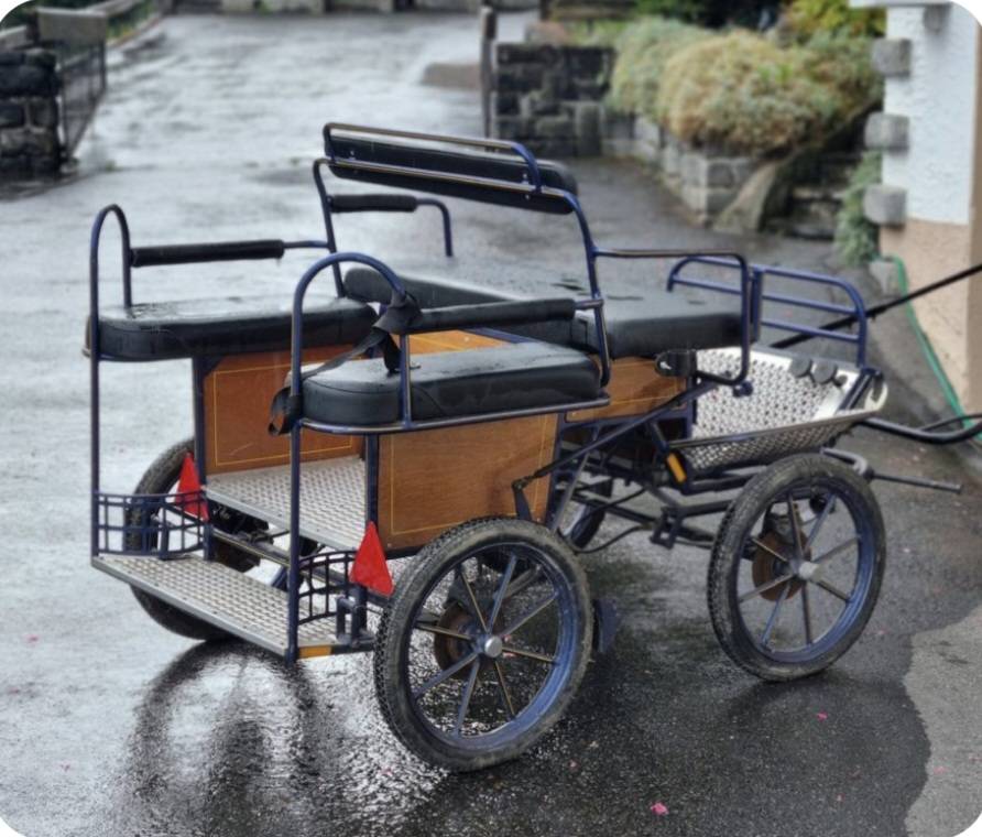 Wagonette pour  1-2  poneys