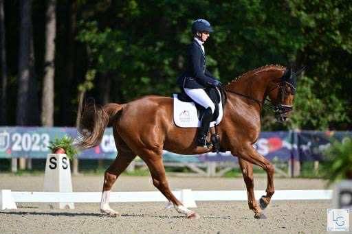 Hongre Dressage 7 ans par London Swing