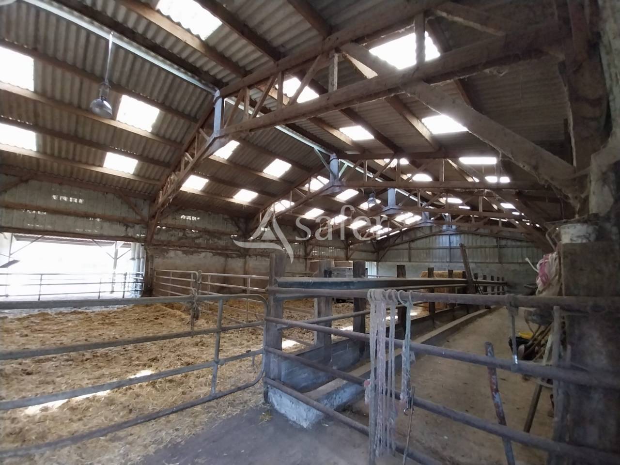 Ferme &eacute;levage 25 ha