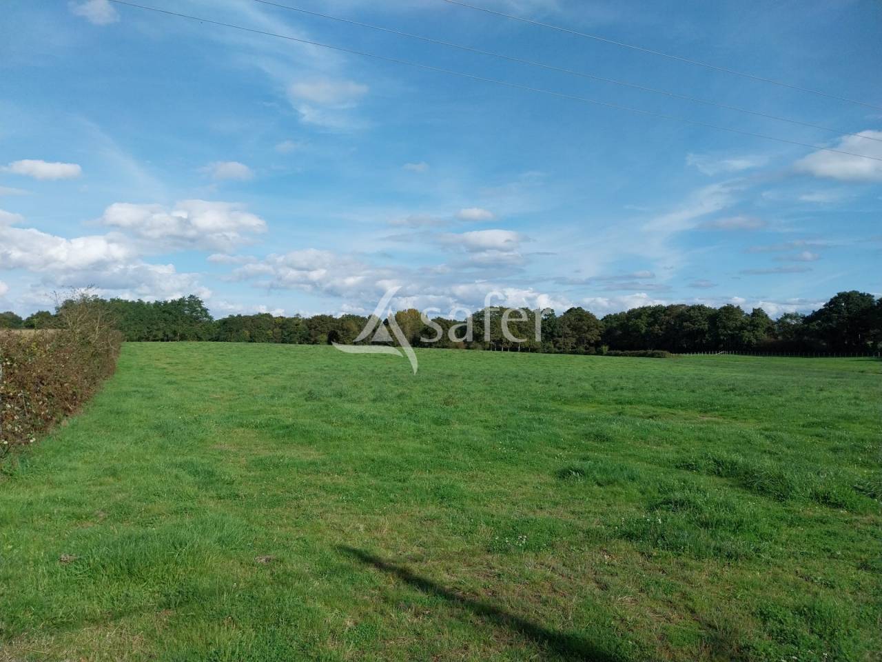 Ferme &eacute;levage 25 ha