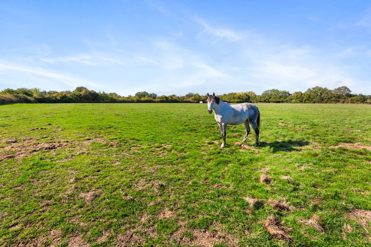 Proche de Pontchâteau