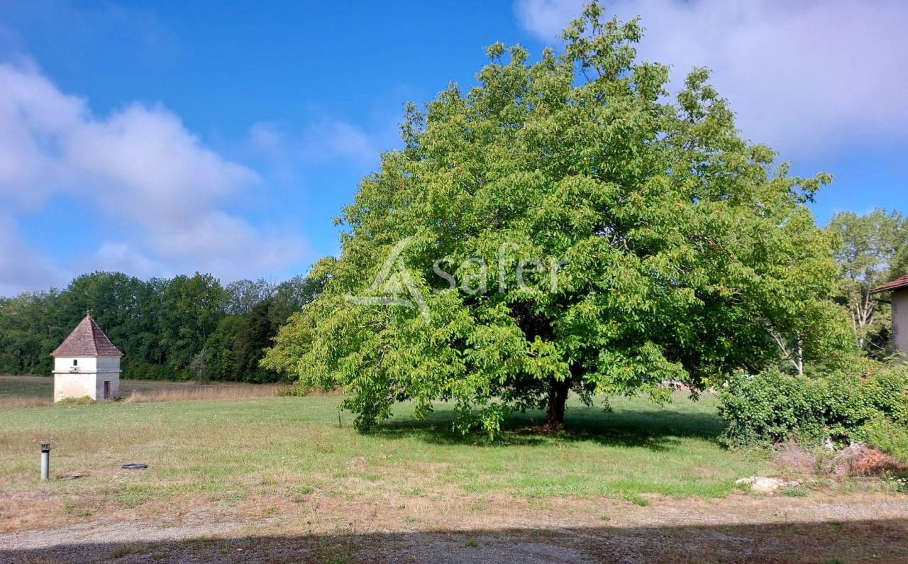 Propriété bâtie sur 28ha proche Brantôme