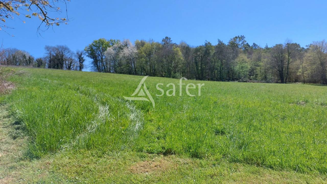 Propriété bâtie sur 28ha proche Brantôme