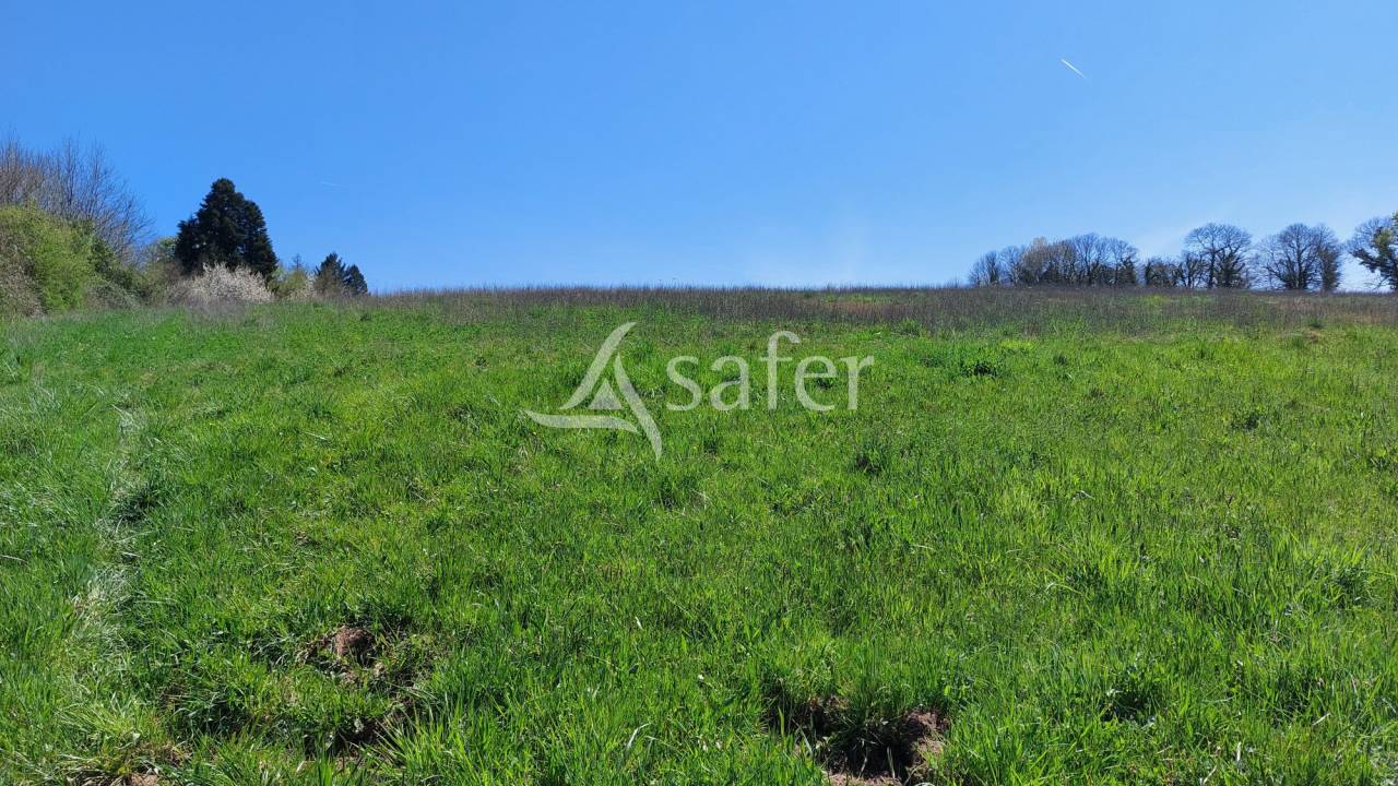 Propriété bâtie sur 28ha proche Brantôme