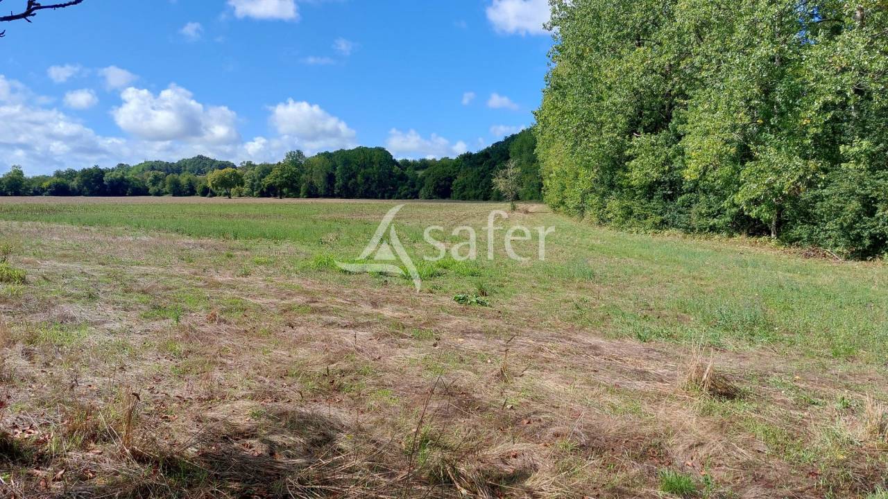 Propriété bâtie sur 28ha proche Brantôme