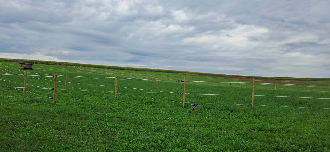 2 boxes à louer dans ferme familiale à Senarclens