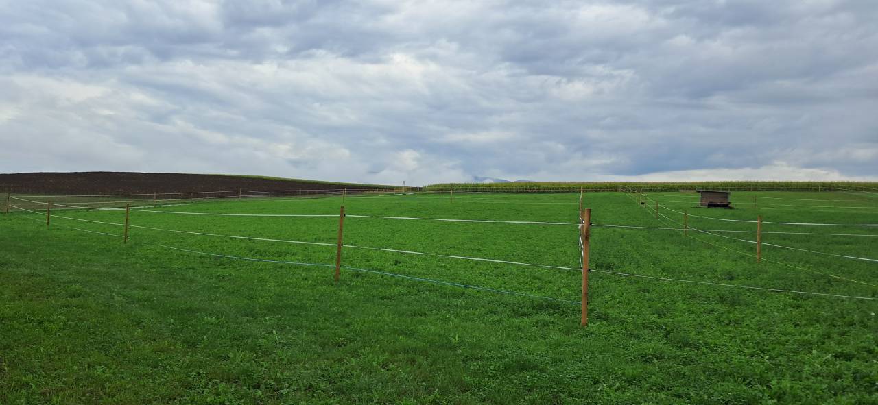 2 boxes à louer dans ferme familiale à Senarclens