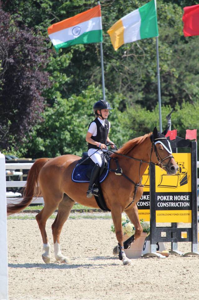 Jument Zangersheide A vendre 2019 Alezan