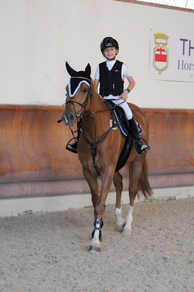 Jument Zangersheide A vendre 2019 Alezan