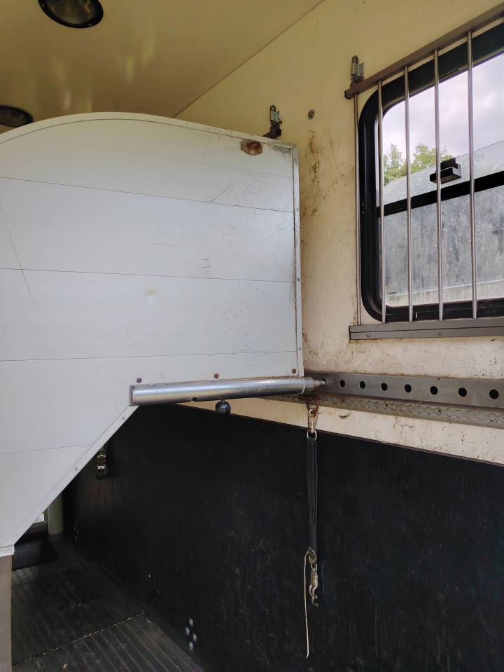 Camion chevaux Man ❗Nouveau numéro tel❗