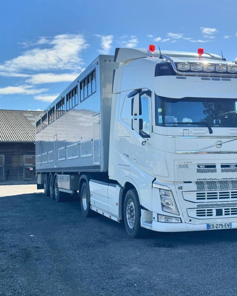 Semi-remorque chevaux 19 places en stalle