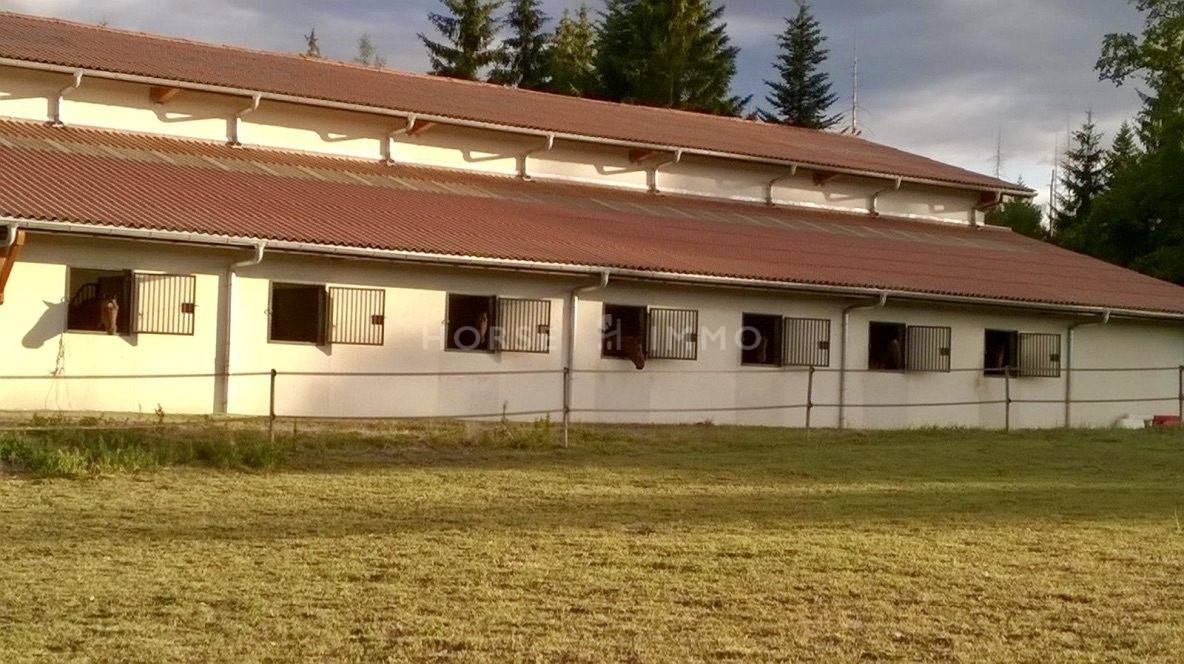 Propriété équestre avec vue