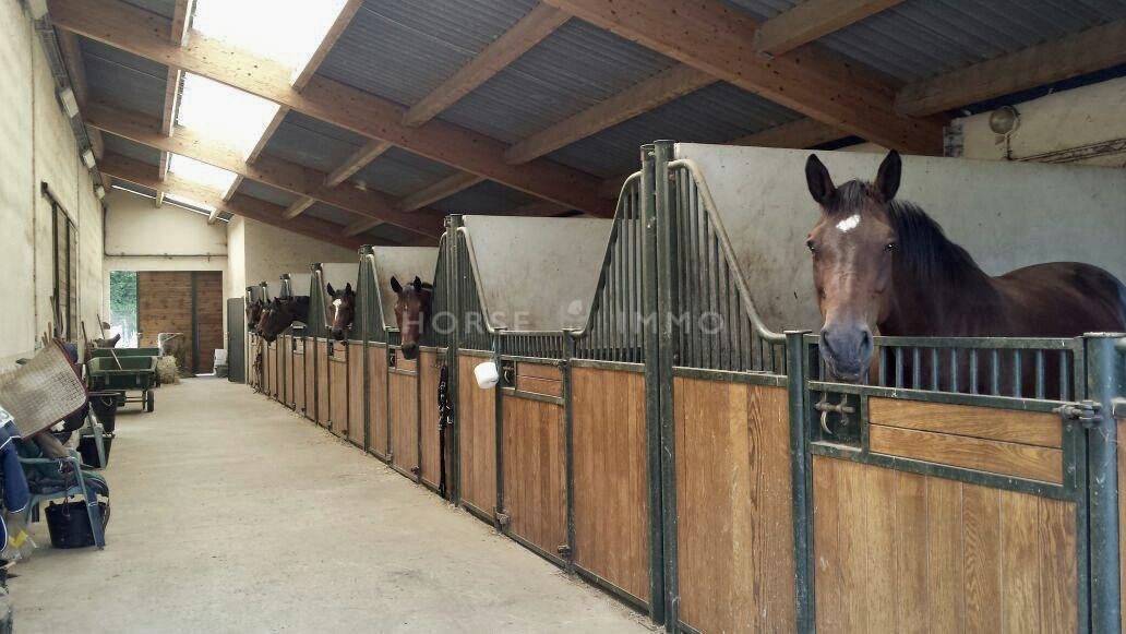 Propriété équestre avec vue