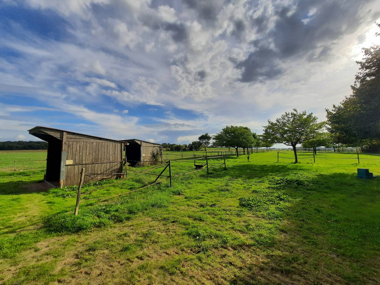 Propriété équestre de charme sur 1,3 ha 20 mn de ROYAN