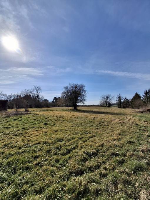 Pté A VOCATION EQUESTRE  DANS L'YONNE  SUR 8605 M² 