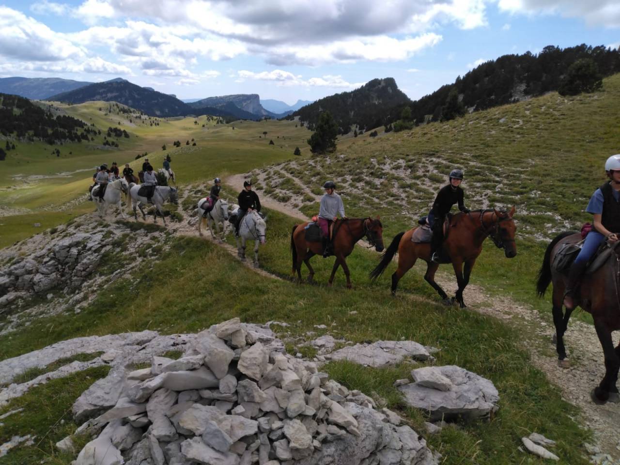 Accompagnateur de Tourisme Equestre