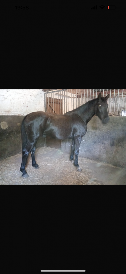 3 ans par Emidor z (emerald)
