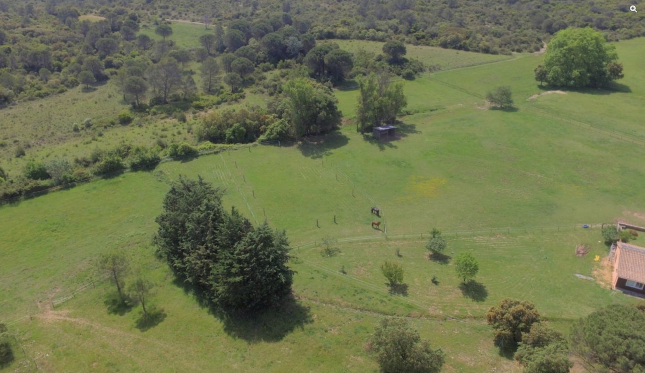 NOUVEAU - Propriété équestre de 7ha (30)