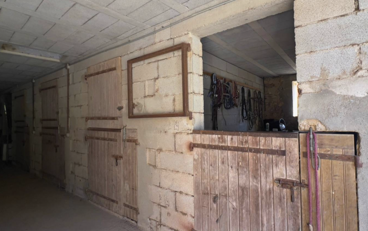 NOUVEAU - Propriété équestre de 7ha (30)