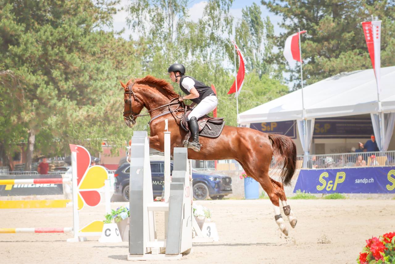 Super Jument à vendre, gros moyen + cœur énorme 