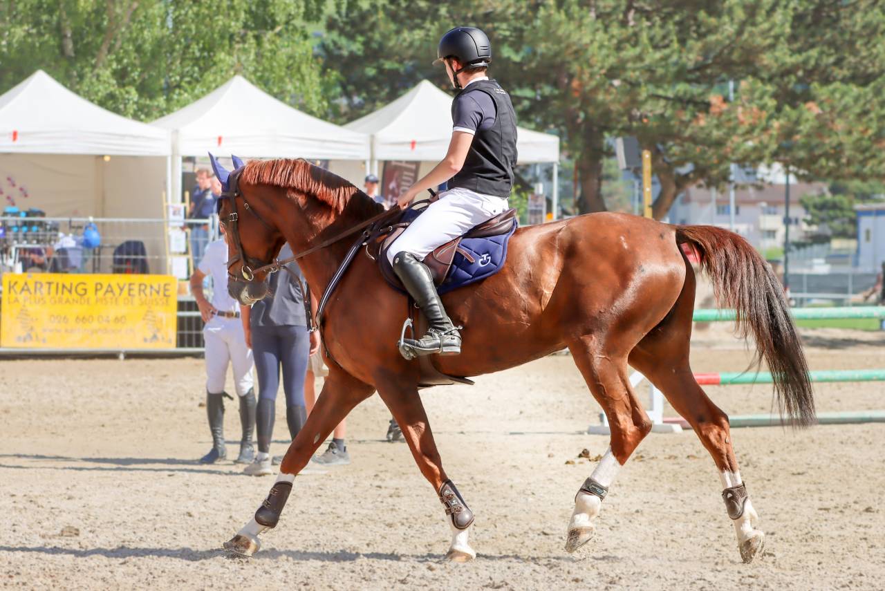 Super Jument à vendre, gros moyen + cœur énorme 
