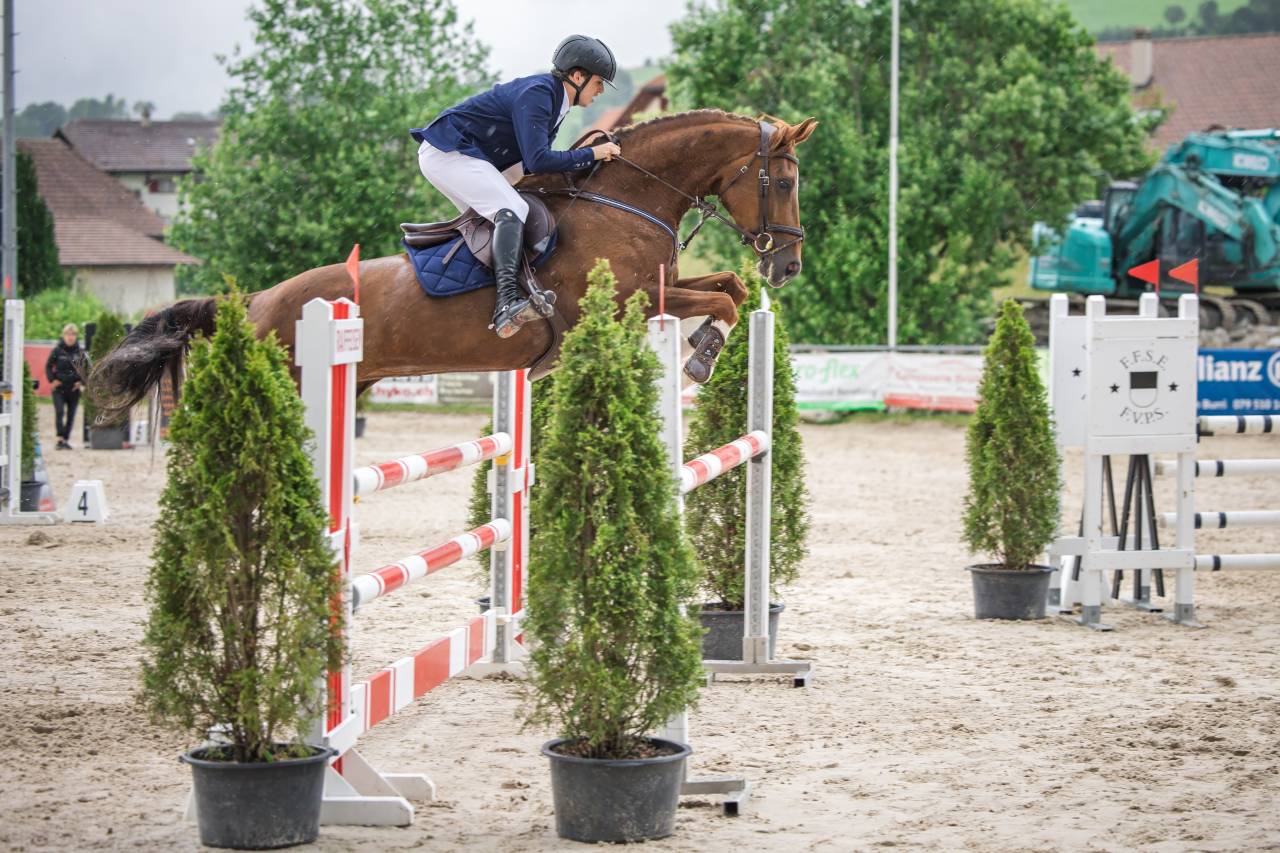 Super Jument à vendre, gros moyen + cœur énorme 